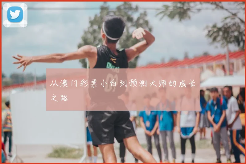 从澳门彩票小白到预测大师的成长之路