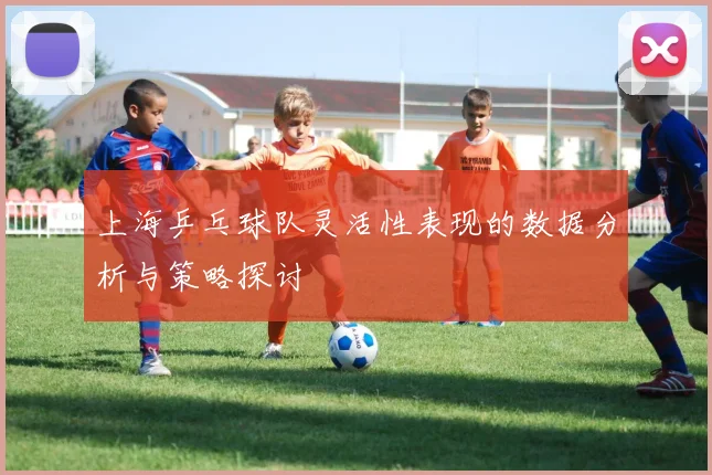 上海乒乓球队灵活性表现的数据分析与策略探讨