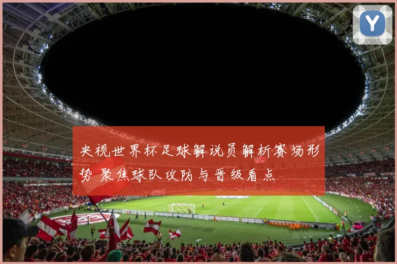 央视世界杯足球解说员解析赛场形势 聚焦球队攻防与晋级看点