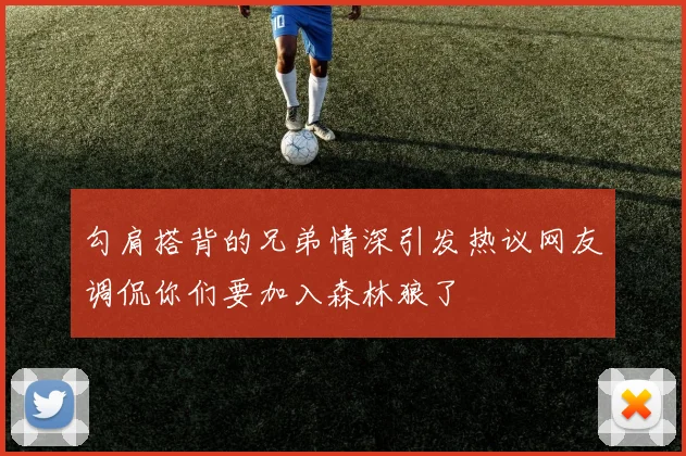 勾肩搭背的兄弟情深引发热议网友调侃你们要加入森林狼了