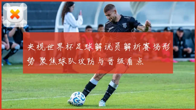 央视世界杯足球解说员解析赛场形势 聚焦球队攻防与晋级看点