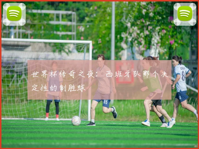 世界杯传奇之夜：西班牙队那个决定性的制胜球