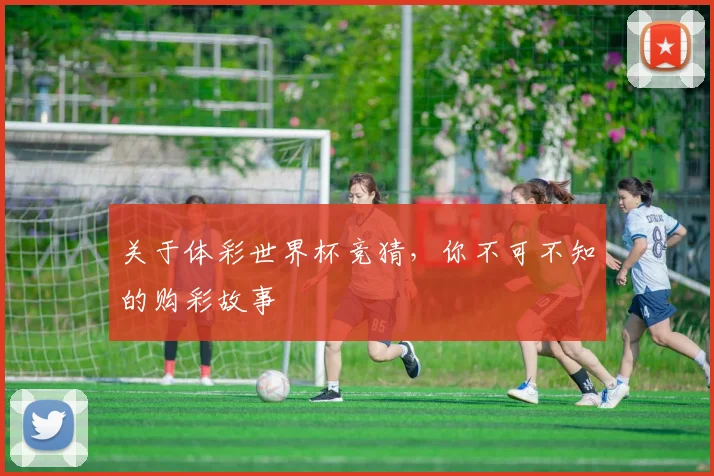 关于体彩世界杯竞猜,你不可不知的购彩故事