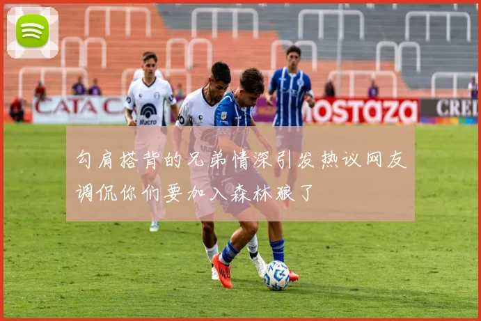 勾肩搭背的兄弟情深引发热议网友调侃你们要加入森林狼了