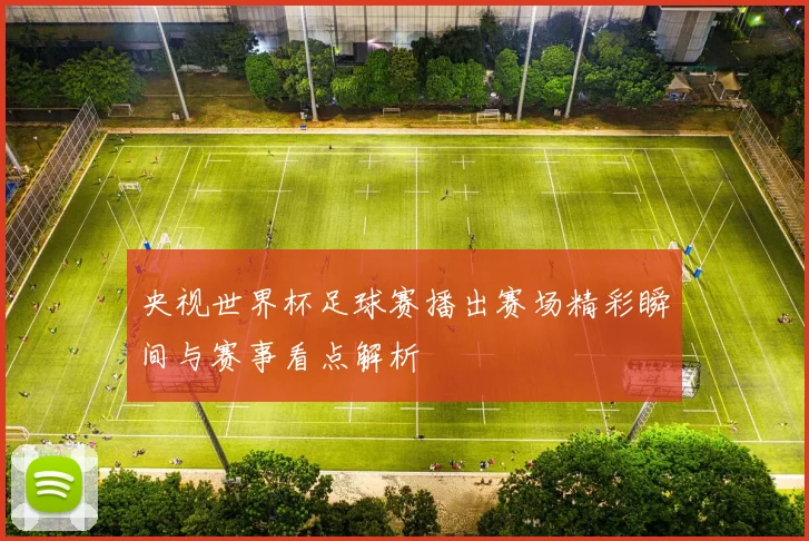 央视世界杯足球赛播出赛场精彩瞬间与赛事看点解析