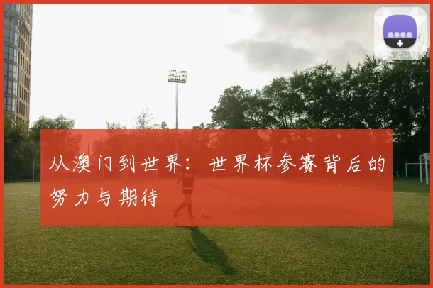 从澳门到世界：世界杯参赛背后的努力与期待
