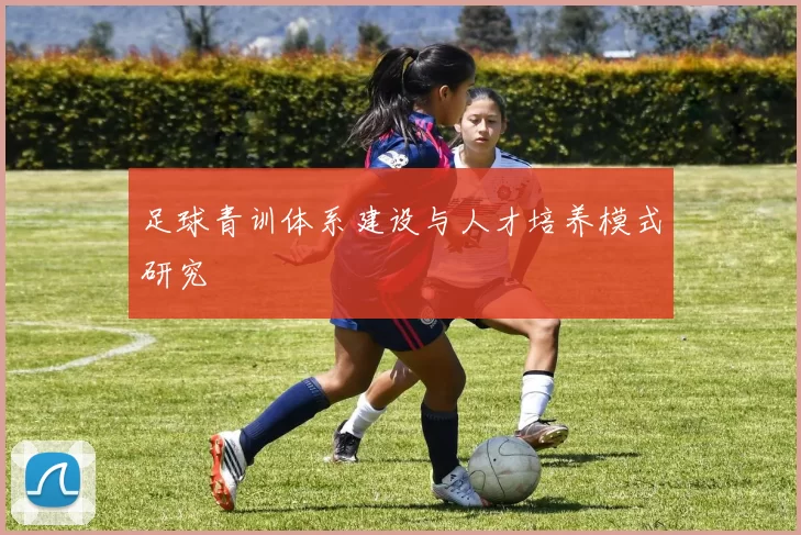 足球青训体系建设与人才培养模式研究