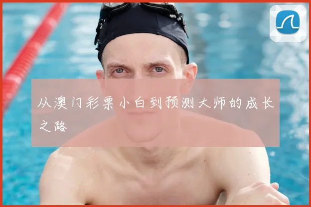 从澳门彩票小白到预测大师的成长之路