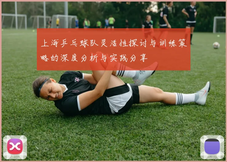 上海乒乓球队灵活性探讨与训练策略的深度分析与实践分享